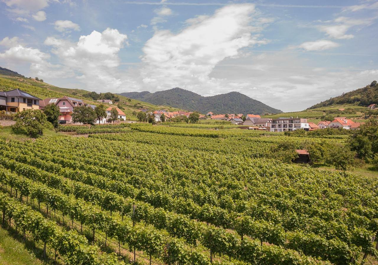 Stierschneider'S Weinhotel Wachau & Wiazhaus Spitz an der Donau Kültér fotó